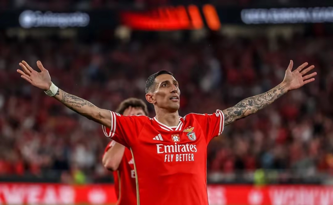 九游体育电竞 -赛地聚焦：德国杯冲刺阶段热度飙升，马赛伤情更新，更衣室稳定，团队化学反应显著的简单介绍