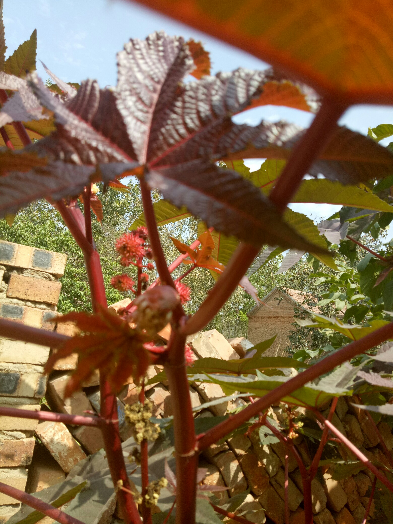 九游体育官网 -关于狣AbS?????d?9褹.|綶齛的信息